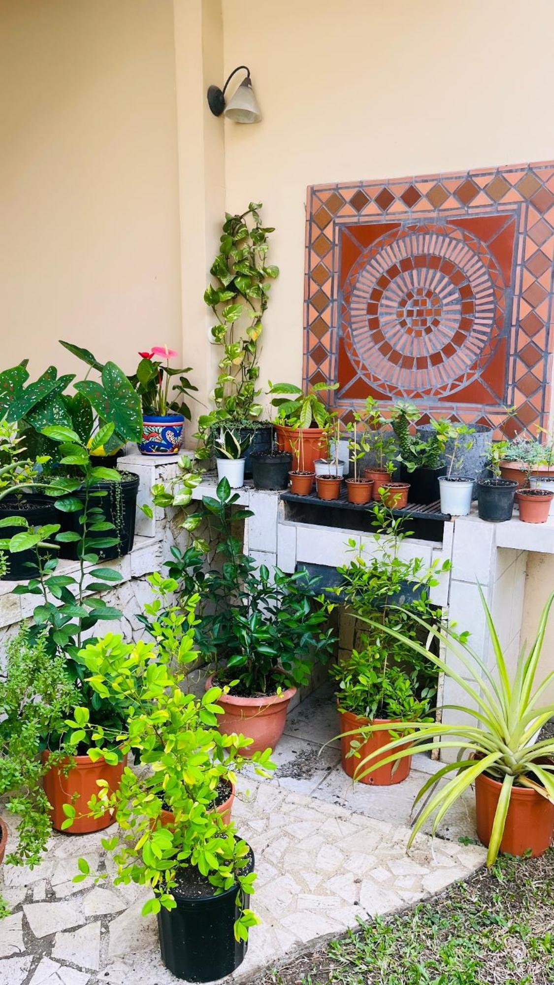 Ester'S Place اسكازو المظهر الخارجي الصورة