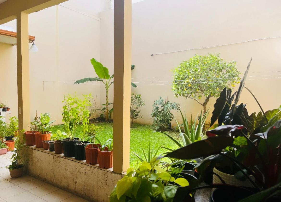 Ester'S Place اسكازو المظهر الخارجي الصورة