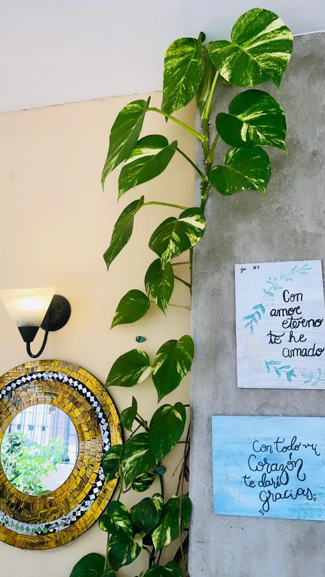 Ester'S Place اسكازو المظهر الخارجي الصورة