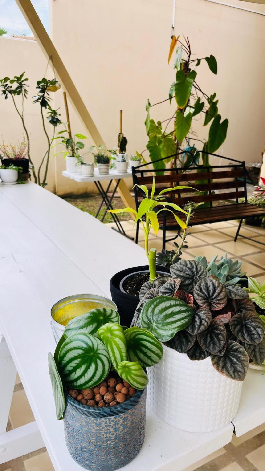 Ester'S Place اسكازو المظهر الخارجي الصورة