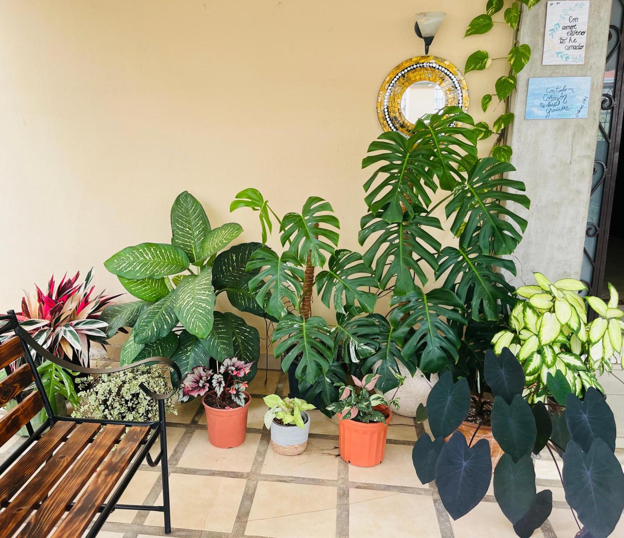 Ester'S Place اسكازو المظهر الخارجي الصورة